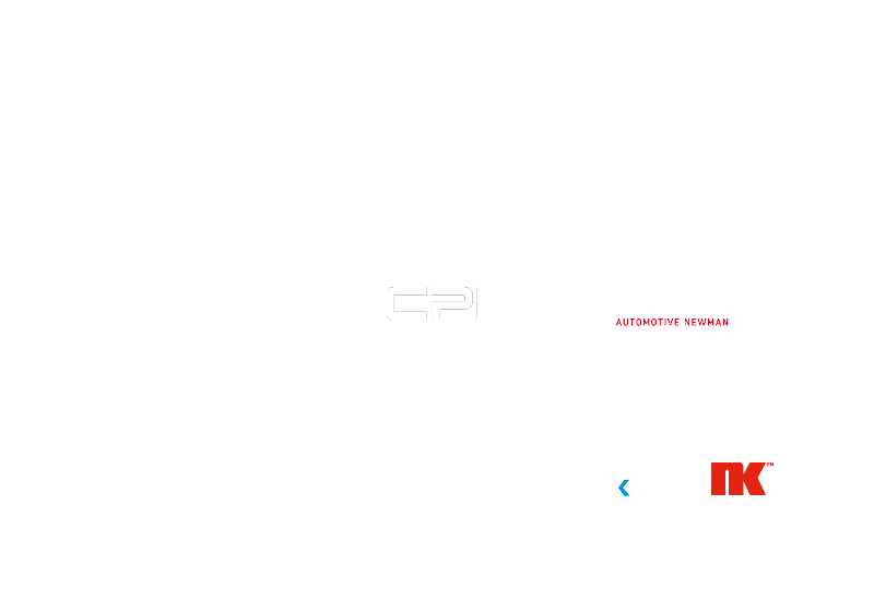 BORG Automotive Group structure